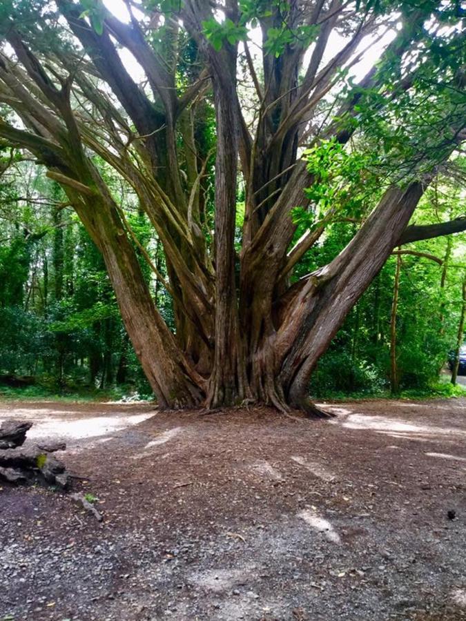 ホテル Abbeycourt Kenmare Kerry エクステリア 写真