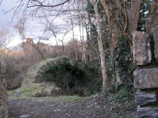 ホテル Abbeycourt Kenmare Kerry エクステリア 写真